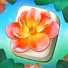 56视频